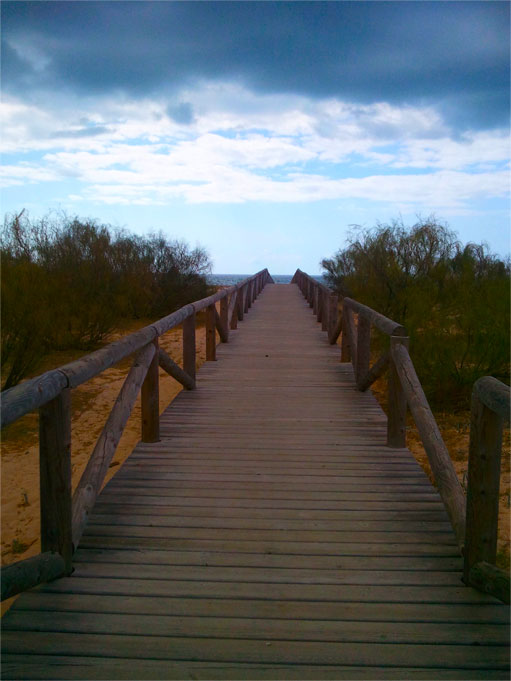 Camino playa. Coaching